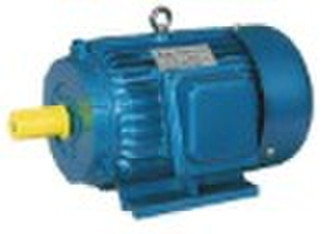 Y Three Phase Electric Induction Motor