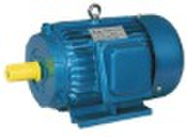 Y Three Phase Electric Induction Motor