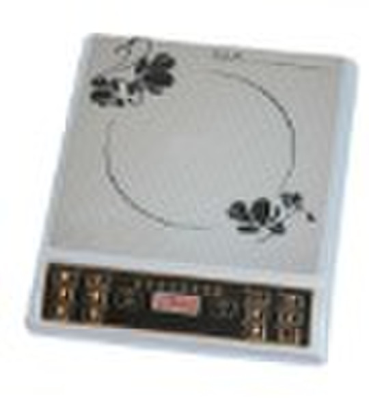 2010 Induction Cooker