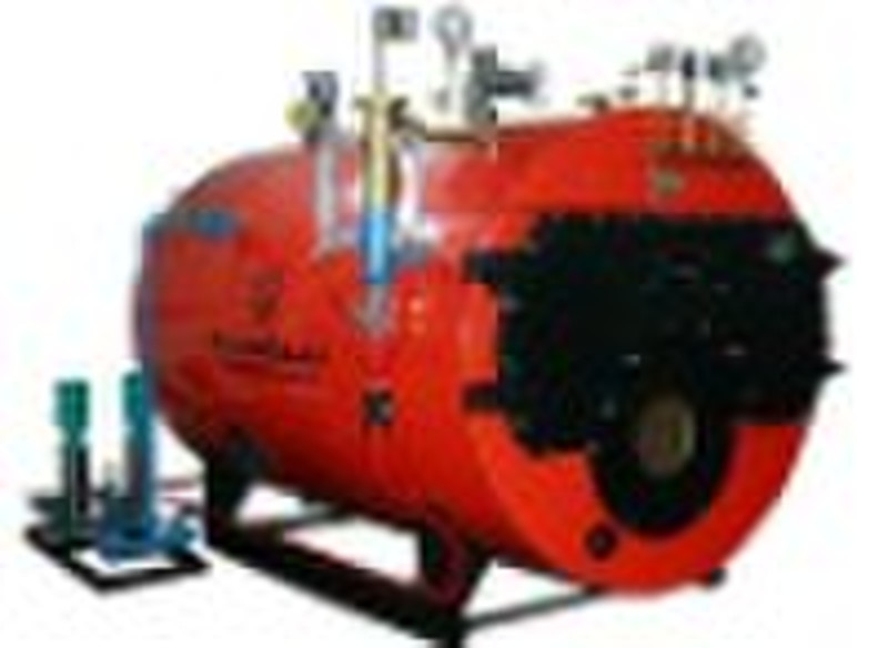 DZL series fast-loading steam boiler