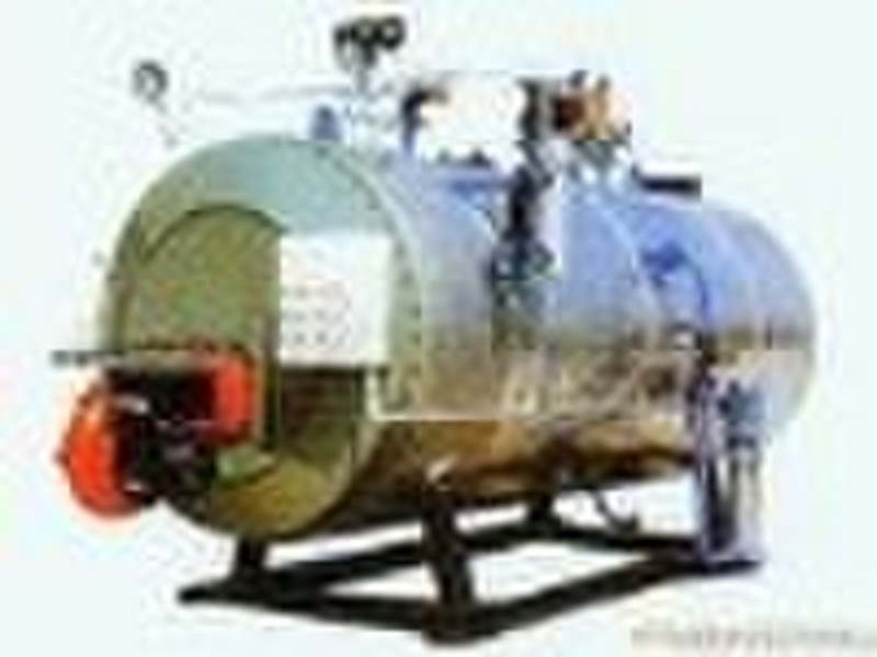 Fuel (gas) steam boiler