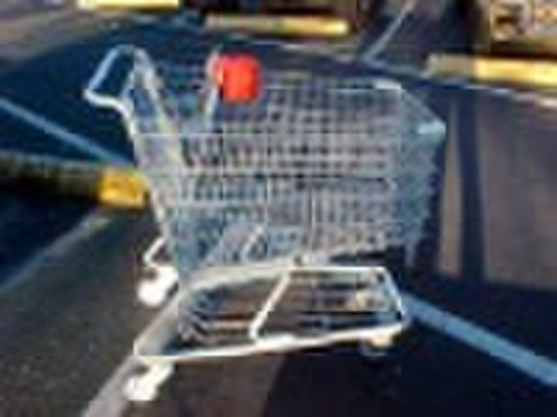 Supermarket shopping cart