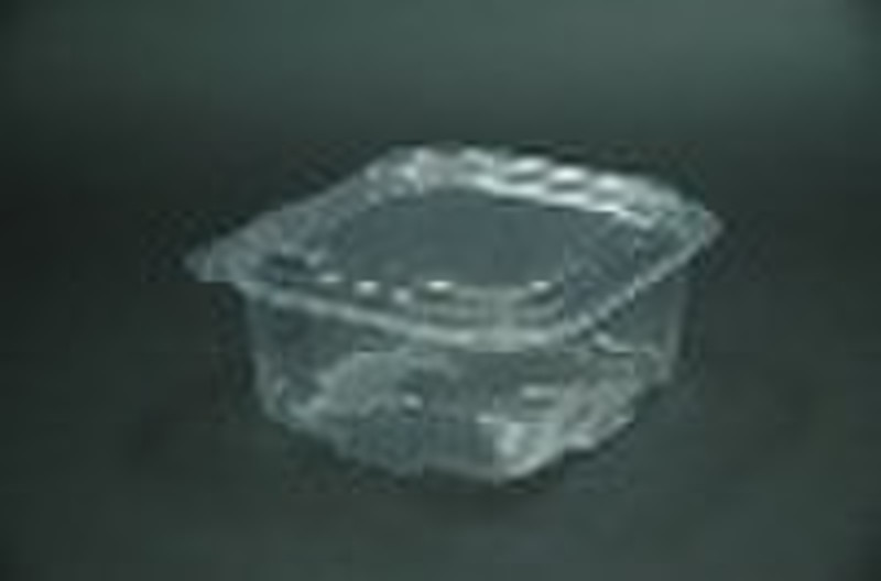 Plastic Square Hinged Lid Container