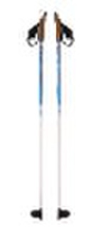 nordic walking stick