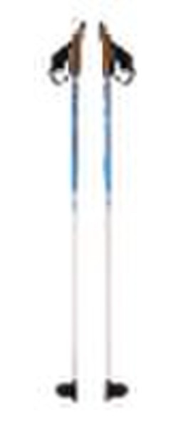 nordic walking stick