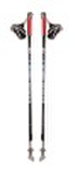 nordic walking pole