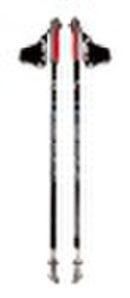 alum nordic walking stick