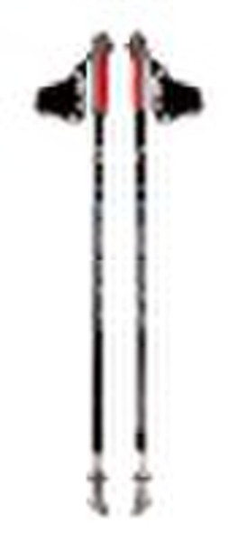 alum nordic walking stick