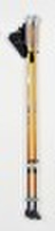 nordic walking stick
