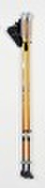 nordic walking stick