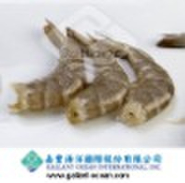 冻结Vannamei虾