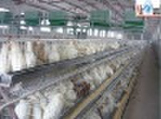 Chicken cages(factory)