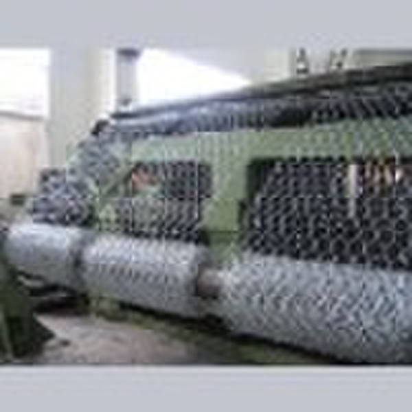 Hexagonal wire mesh(factory)