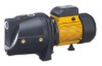 JSW/10 Garden pump
