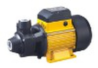 QB60 Water Pump