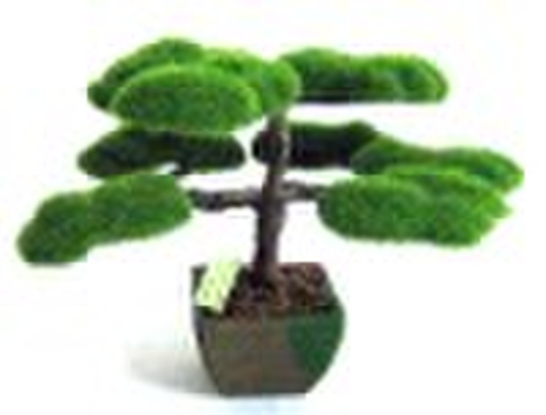 bonsai trees