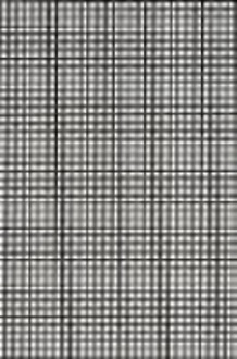 Safety Window Screen