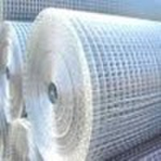 Welded wire mesh (10years factory)