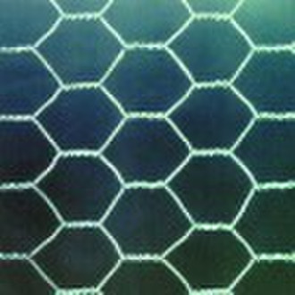 hexagonal wire mesh-01