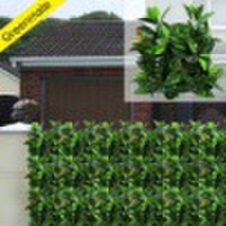 Colorful Plastic Garden Hedges