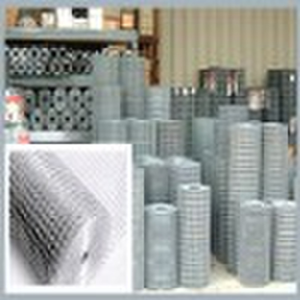 galvanized Welded Wire Mesh(factory price)