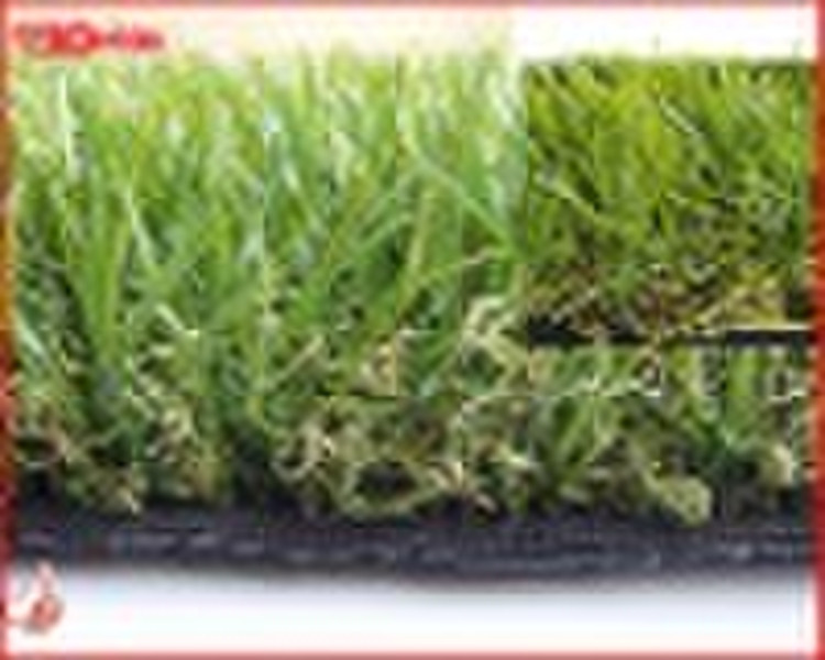 Best garden landscaping grass SJAQDS45