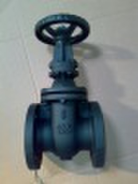 Cast Iron Rising Stem Gate valve