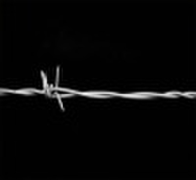 Galvanized Barbed Wire ( 12#*12#,14# * 14 # ,16#*1