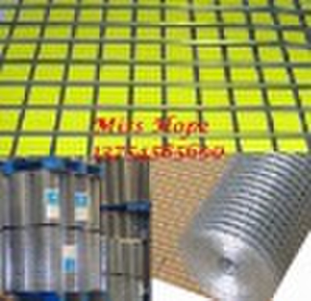 Galvanized Welded Wire Mesh (22years Factory)