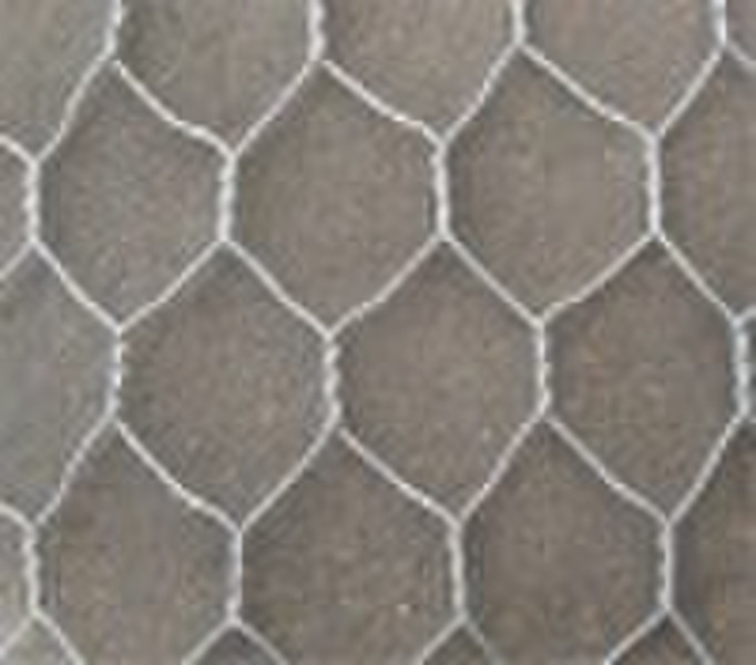 hot dipped galvanized chicken wire mesh