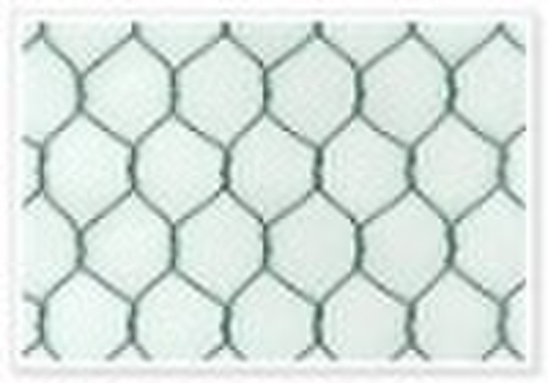 Hexagonal wire mesh