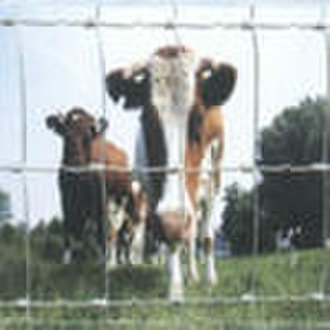 cattle fence(21 years factory)