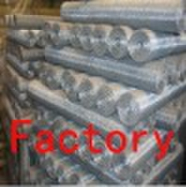 electro galvanized wire mesh