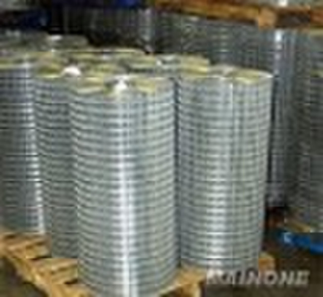 stainless steel or galvanized welded wire mesh