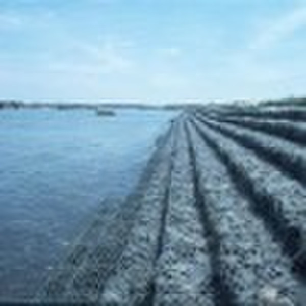 gabion box