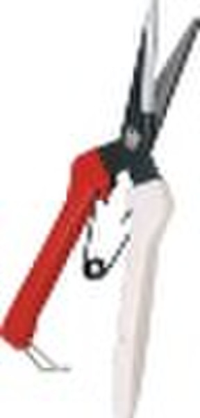 garden shears