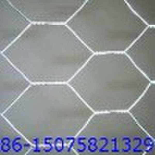 hexagonal wire mesh