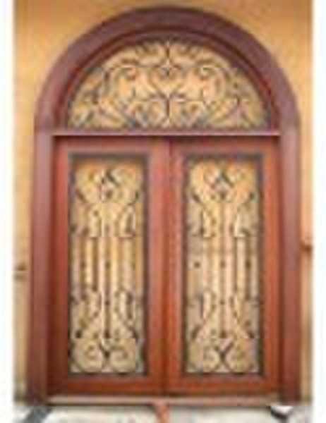Maestro steel wood door