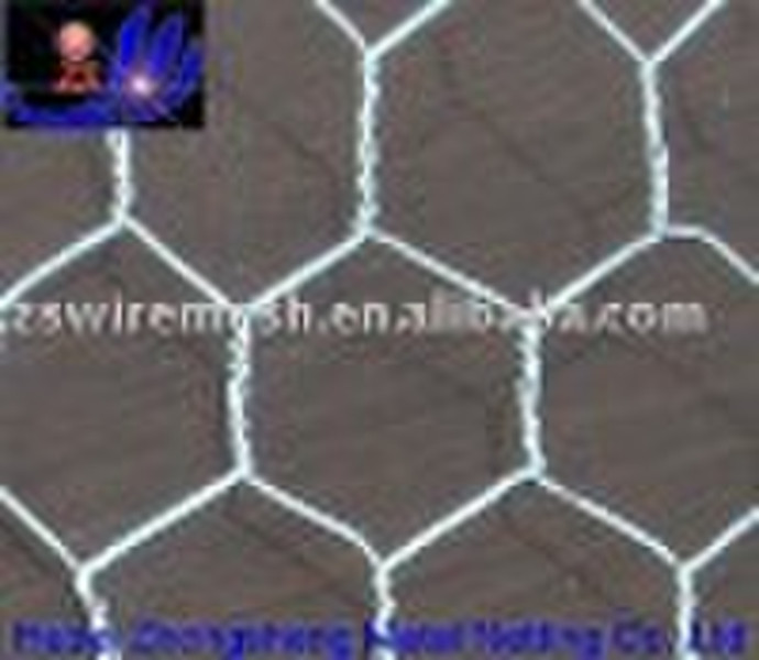 hexagonal wire netting(factory)