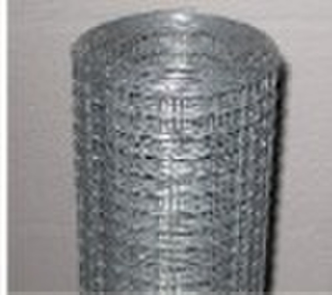 Hot-dipped galvanized welded wire mesh