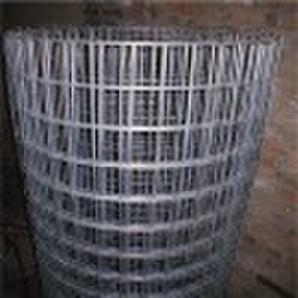 Welded wire mesh  (huakai)