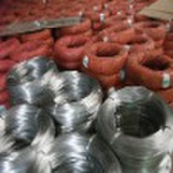 electro galvanized wire(factory)