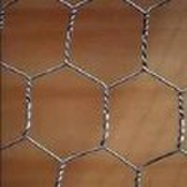 Hexagonal Wire Mesh