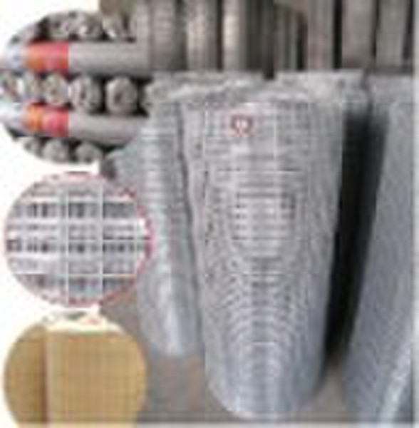 galvanized & pvc coated welded wire mesh