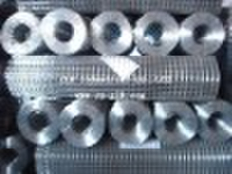 China factory provide welded wire mesh