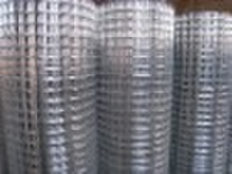 Export welded wire mesh