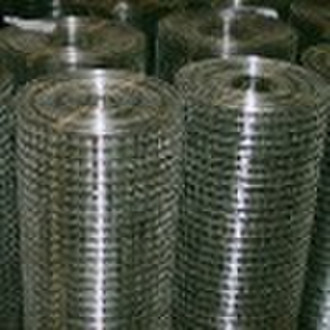 welded wire mesh (High quality)