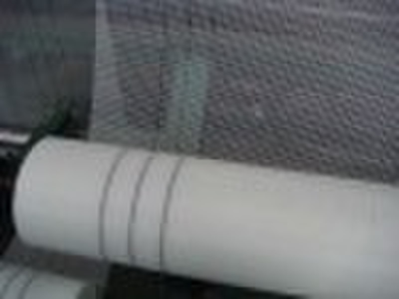 alkali-resistant Fiberglass mesh