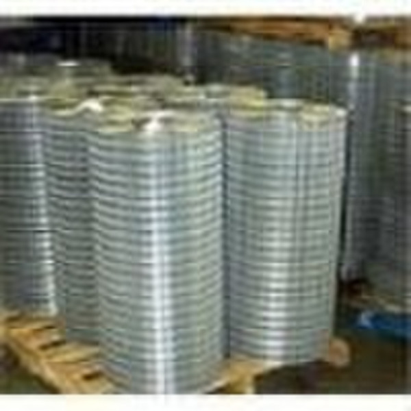 Galvanized welded mesh  (manufacturer & export