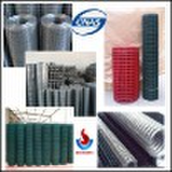 Galvanized Welded Wire Mesh factory (PVC and Galva